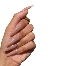 Load image into Gallery viewer, Cleopatra