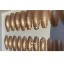 Load image into Gallery viewer, Shimmy