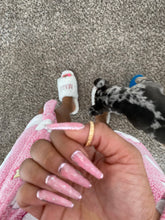 Load image into Gallery viewer, Opal