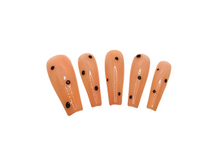 Load image into Gallery viewer, Chips A'Hoy