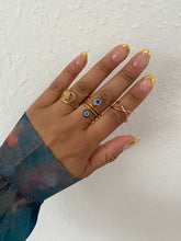 Load image into Gallery viewer, Rich Bish